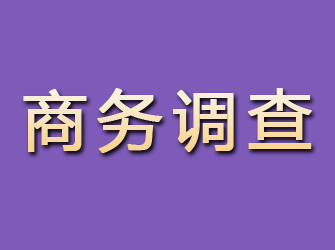 新浦商务调查